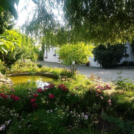 Apartamenty Za Murem Познань Экстерьер фото