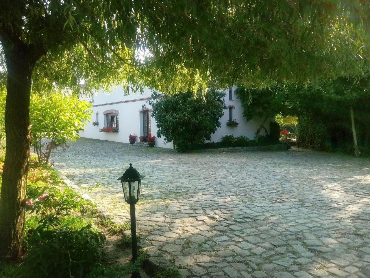 Apartamenty Za Murem Познань Экстерьер фото
